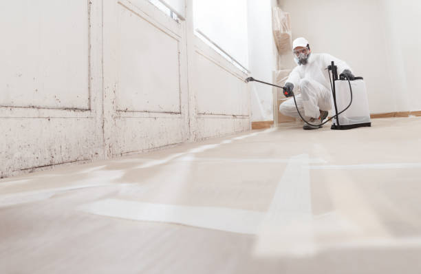 24/7 Emergency Attic Mold Remediation experts in Milton, MA
